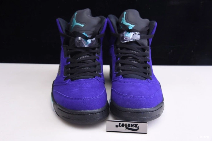 Rep Air Jordan Alternate 136027-500 Retro Grape 5 0811